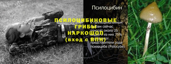 ГАЛЛЮЦИНОГЕННЫЕ ГРИБЫ Армянск