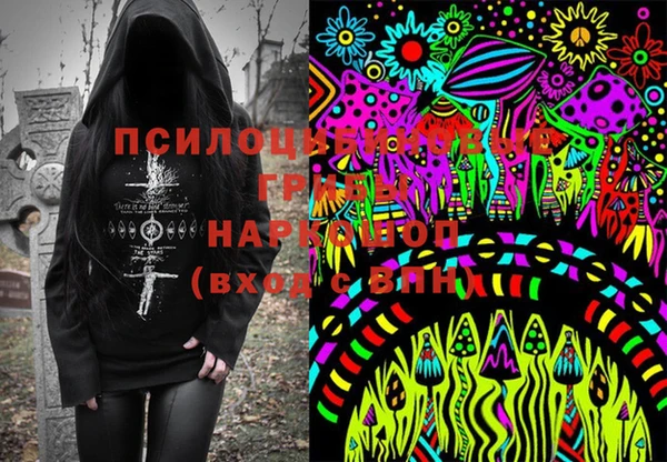 ГАЛЛЮЦИНОГЕННЫЕ ГРИБЫ Армянск